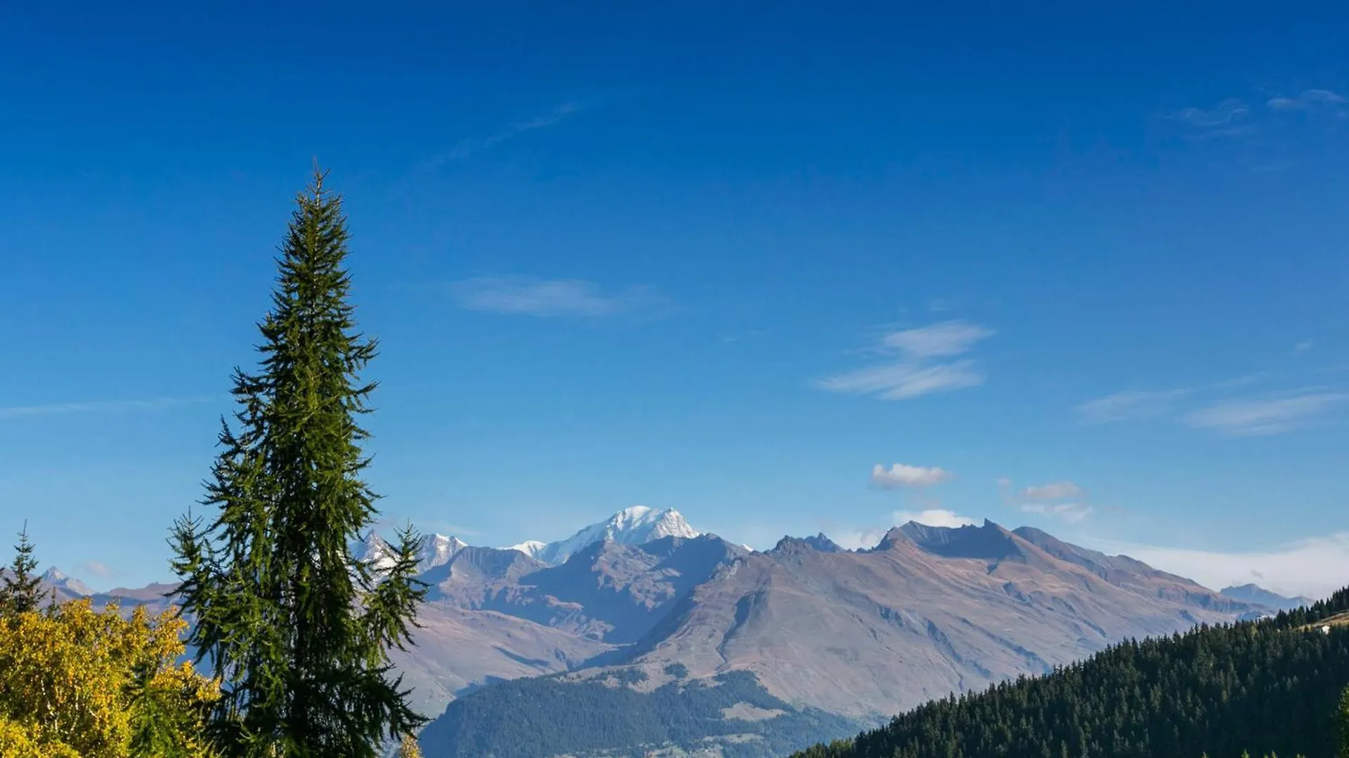 Apartment Studio Cosy, Ski Aux Pieds, Balcon, 5 Pers - Fr-1-346-480 Les Arcs